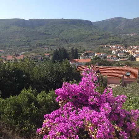 Apartman Ante